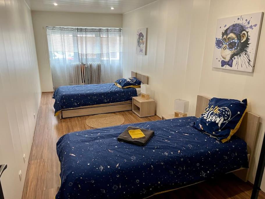 Appartement : L Atelier Des Rêves *